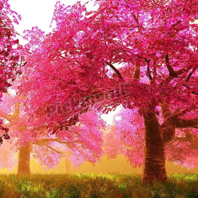 Kids girls - Cherry Blossoms - Pickawall