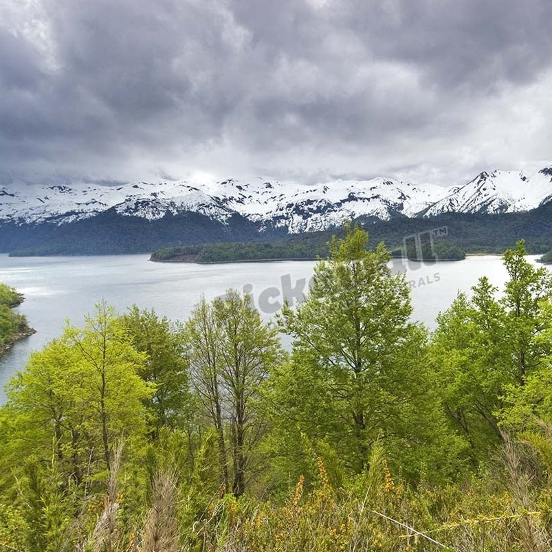 Lago Conguillio lake. - Pickawall
