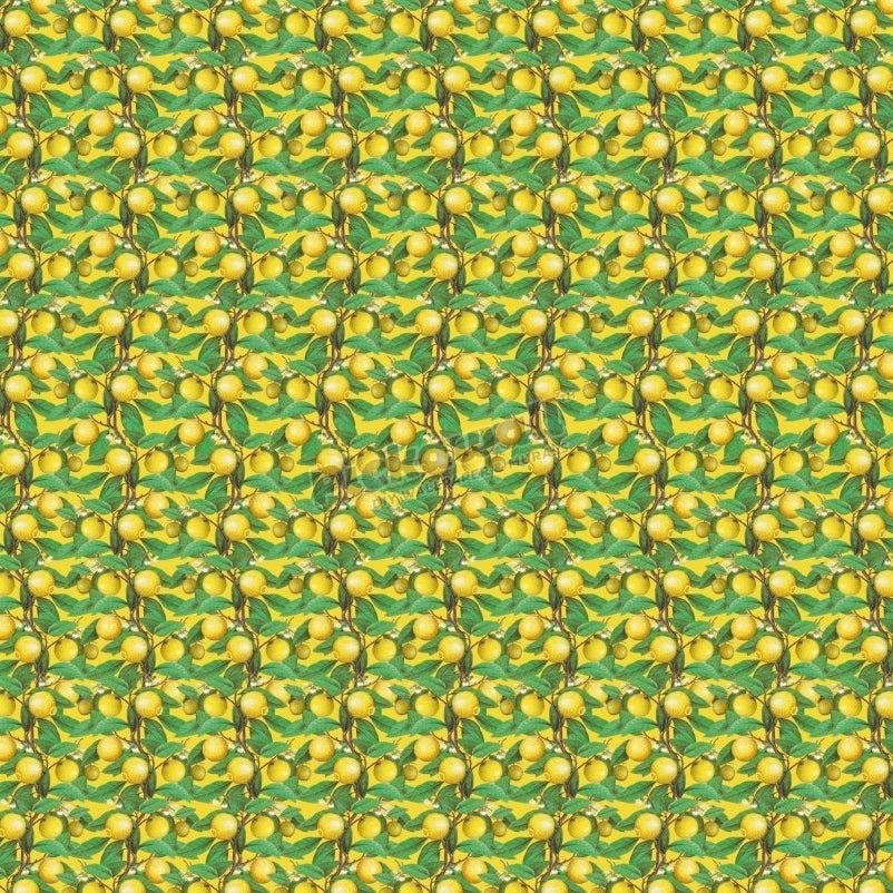 Lemons by Loren Shoemark - Pickawall