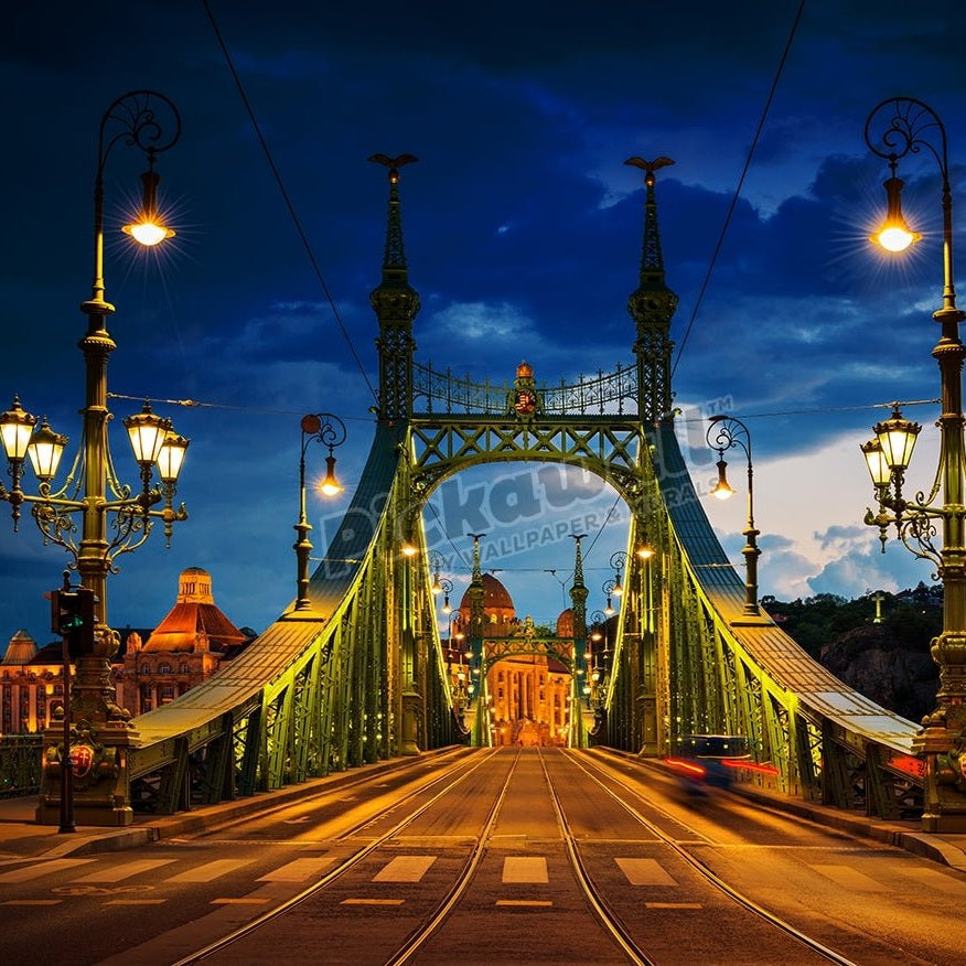 Liberty bridge, Budapest - Pickawall