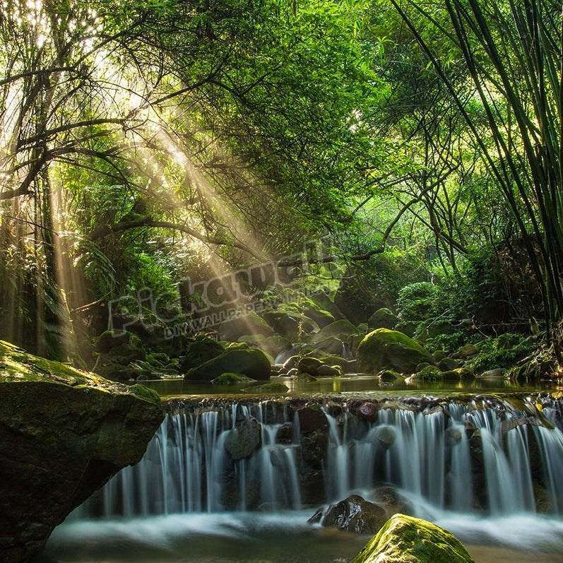 Longquan glamorous Creek - Pickawall
