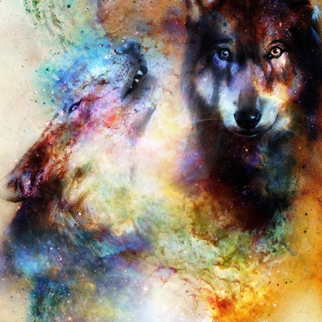 Magical space wolf - Pickawall