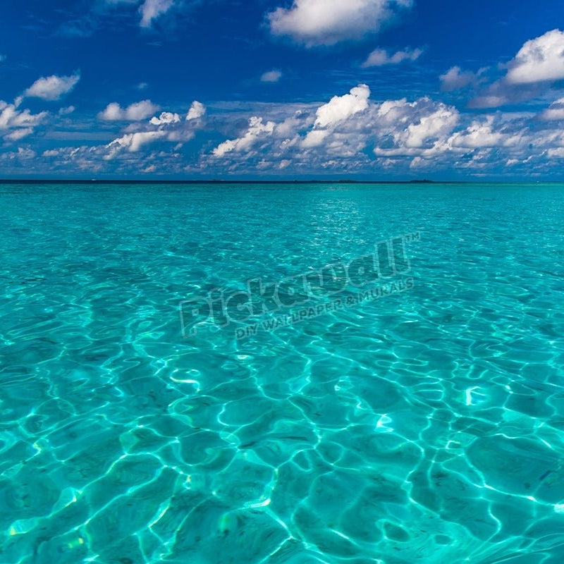 Maldives. Island in the ocean - Pickawall
