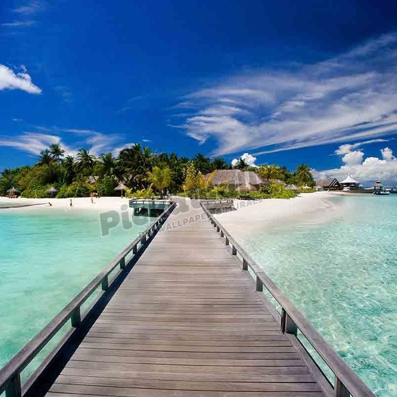 Maldives ocean landscape - Pickawall
