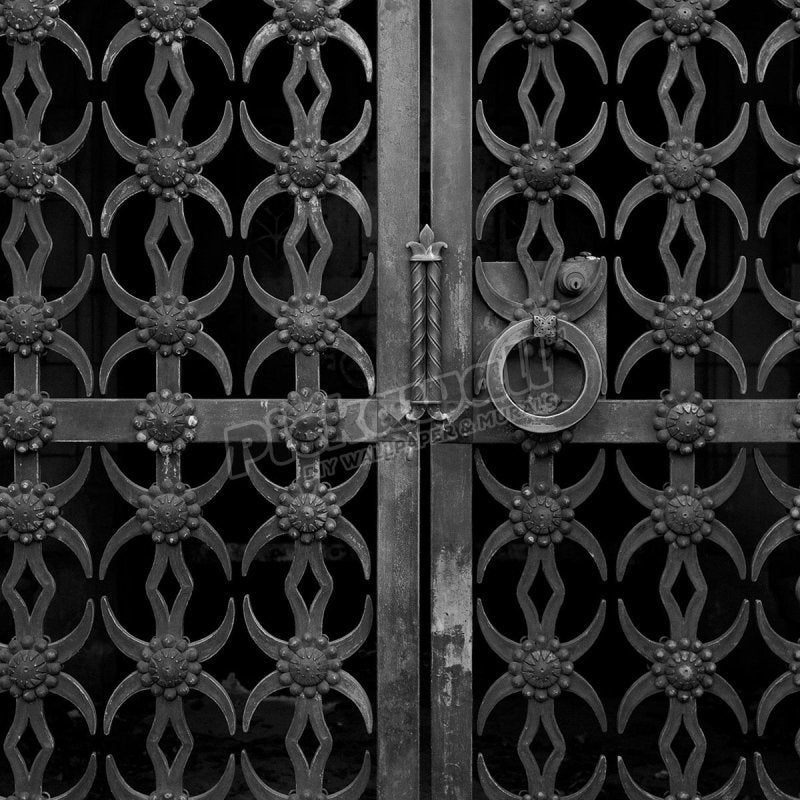 Metal doors locked and secured - Pickawall