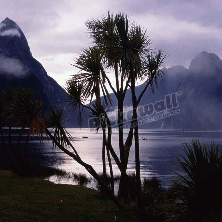Milford Sound in morning mist. - Pickawall