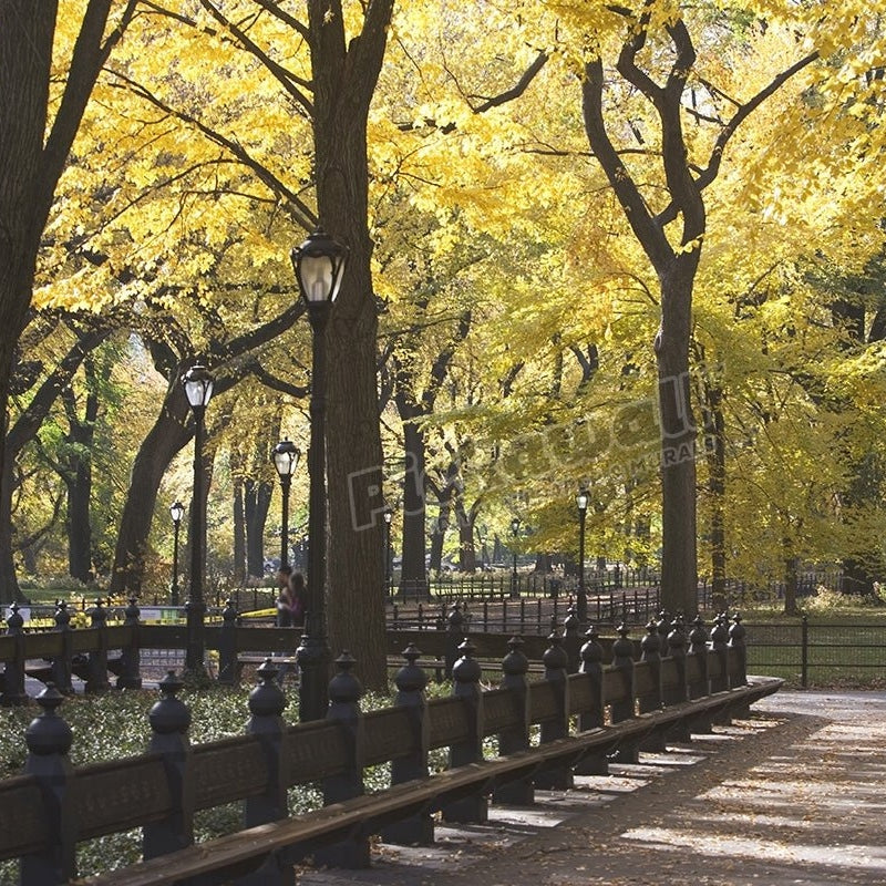 New York City, Autumn in Central Park - Pickawall