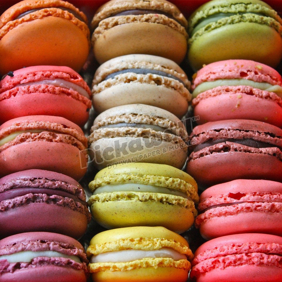 Paris Colourful Macaroons - Pickawall