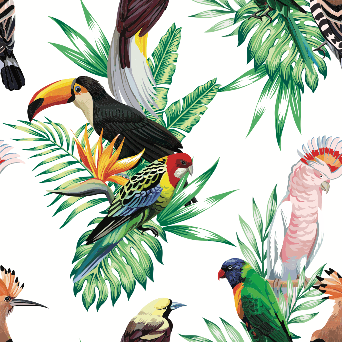 Parrot, Maccaw and Toucan on a branch - Pickawall