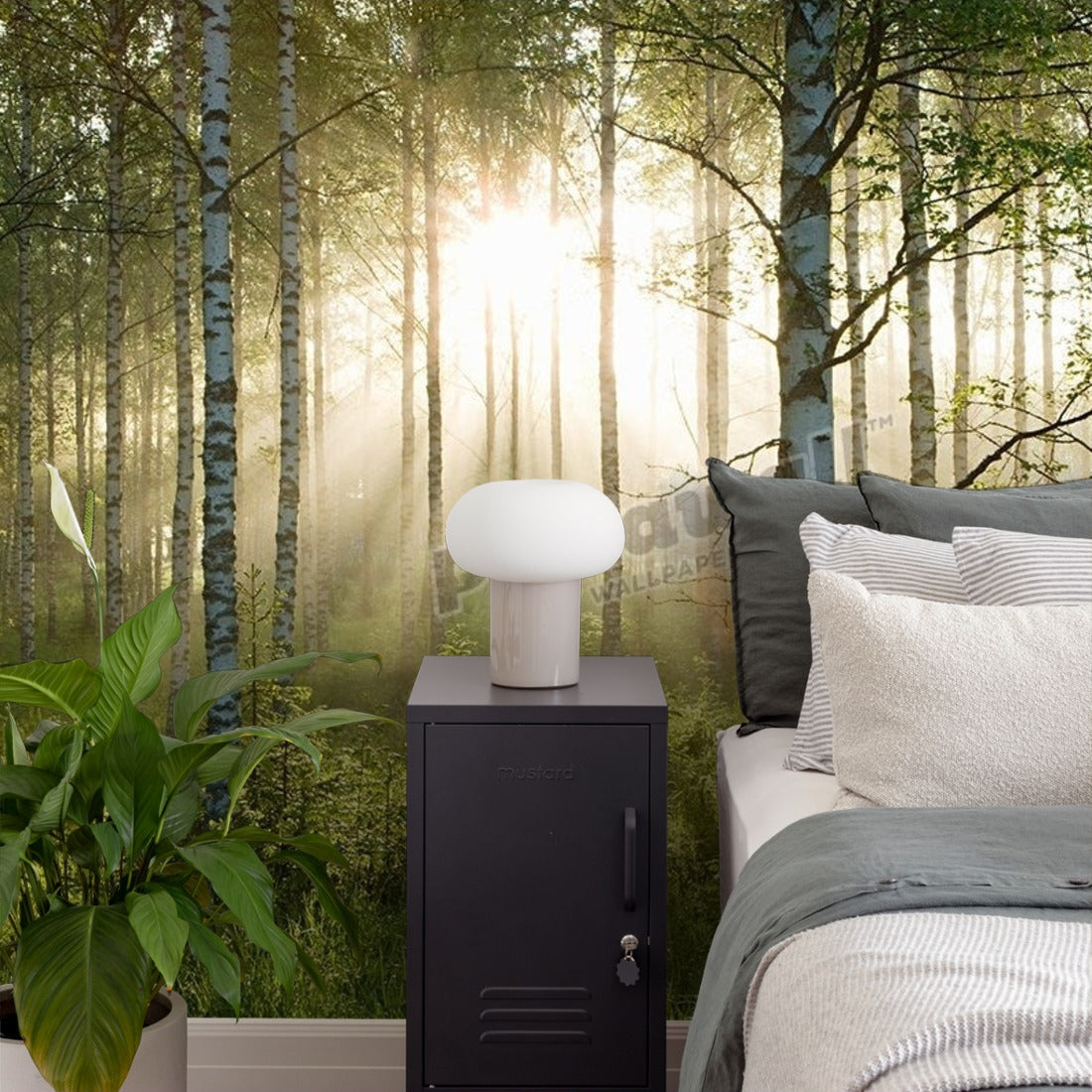 Sunlight in forest of birch trees wallpaper in a bedroom - Pickawall