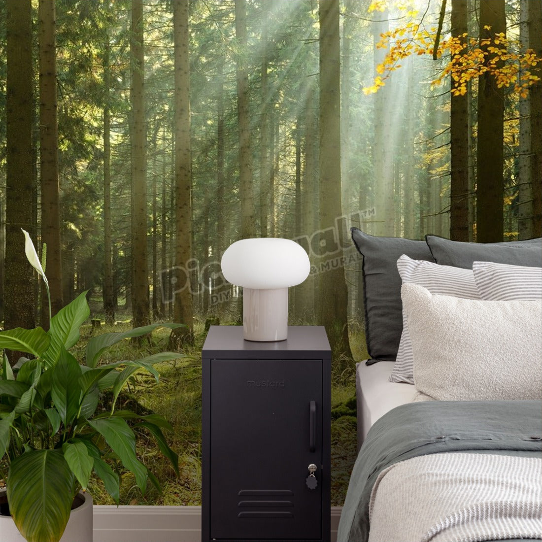 Spruce Tree Forest in Autumn Illuminated by Sunbeams through Fog wallpaper in a bedroom - Pickawall