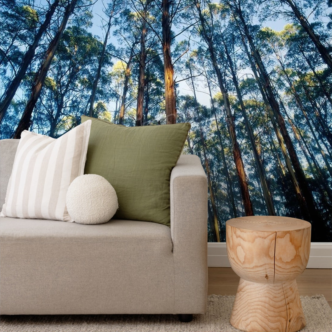 Mountain ash forest in Black Spur, Australia wallpaper in a living room - Pickawall