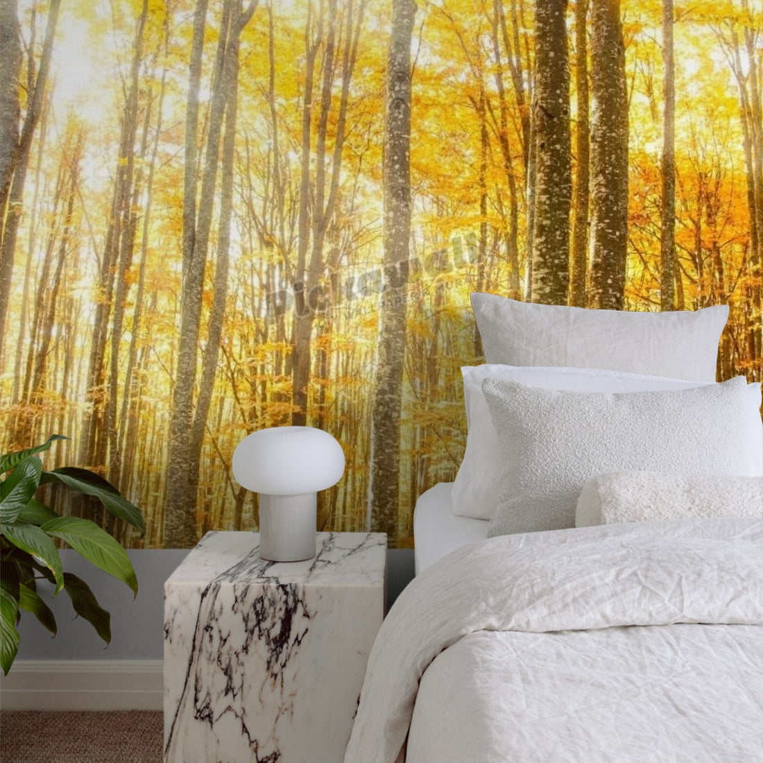 Magical Beech Forest with Warm Golden Sunrays wallpaper in a bedroom - Pickawall