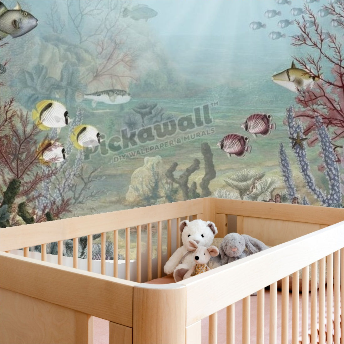 Coral Creatures by Sir Edward wallpaper in a nursery - Pickawall
