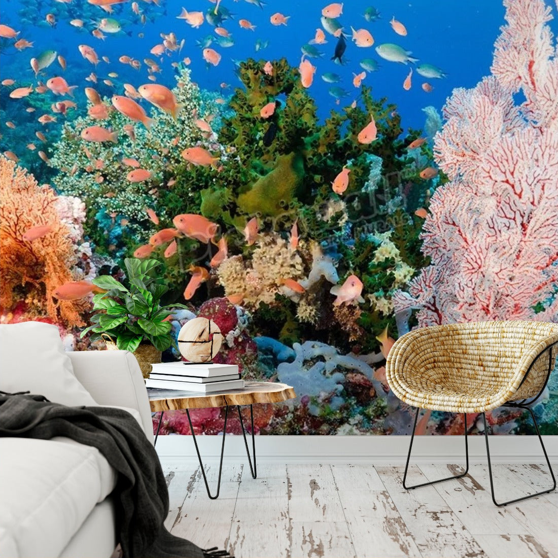 Coral reef scene, Komodo national park, Indonesia wallpaper in a living room - Pickawall
