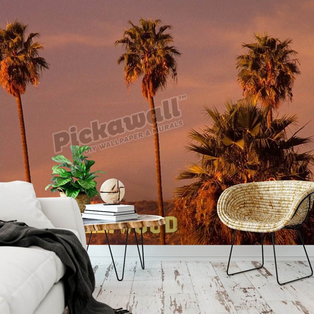 Hollywood sign and palm trees Hollywood Los Angeles California wallpaper in a living room - Pickawall