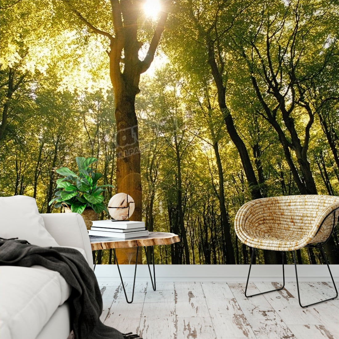 Forest wallpaper in a living room - Pickawall