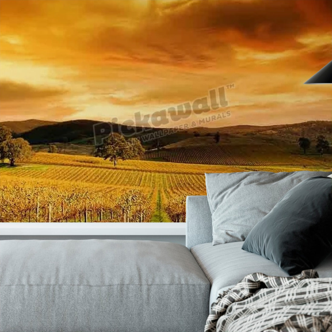 vineyard in South Australia wallpaper in a living room - Pickawall