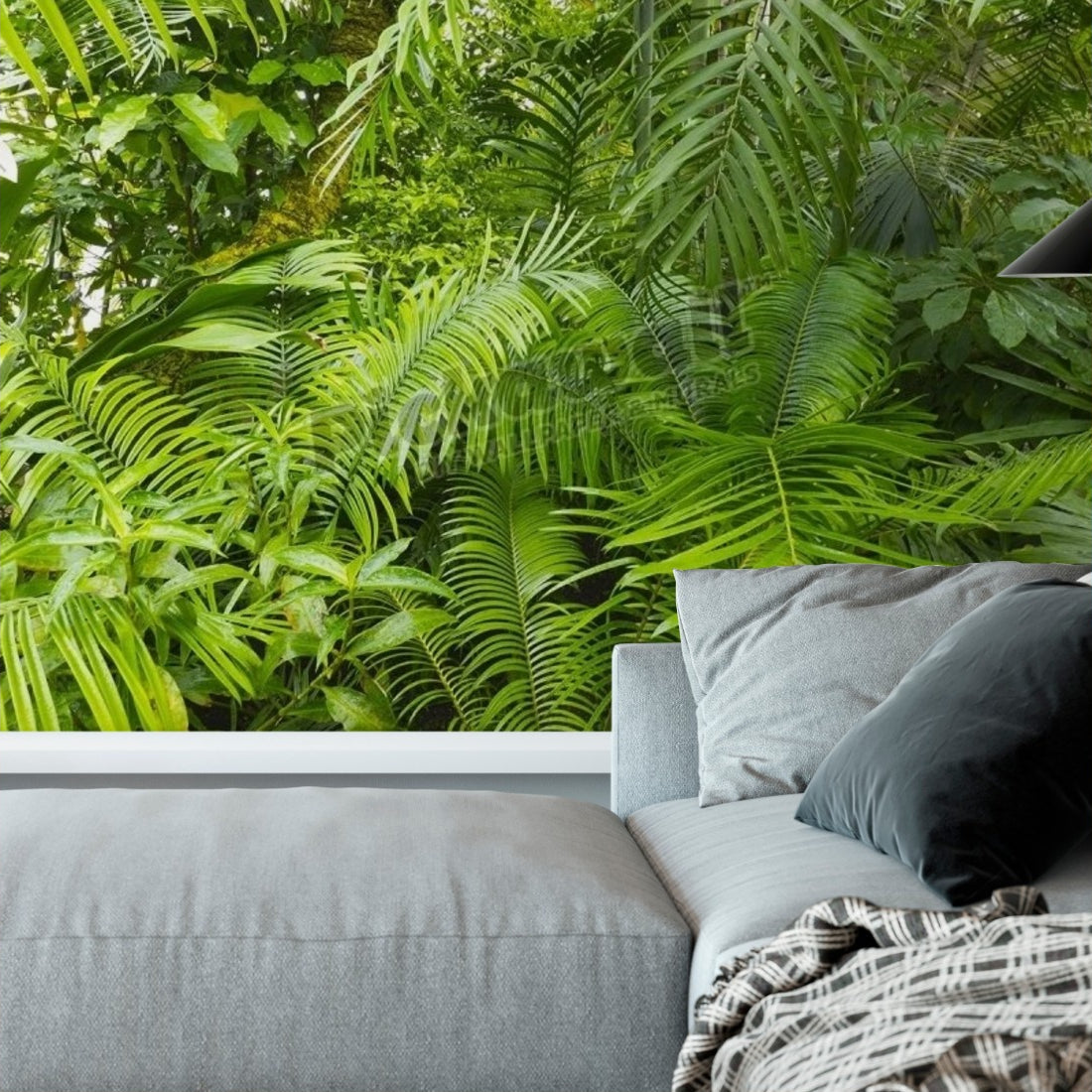 Amazon Rainforest wallpaper in a living room - Pickawall