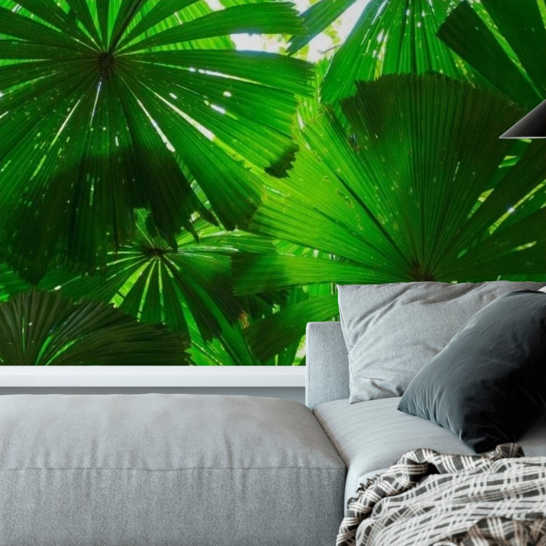 Australian Fan Palms wallpaper in a living room - Pickawall