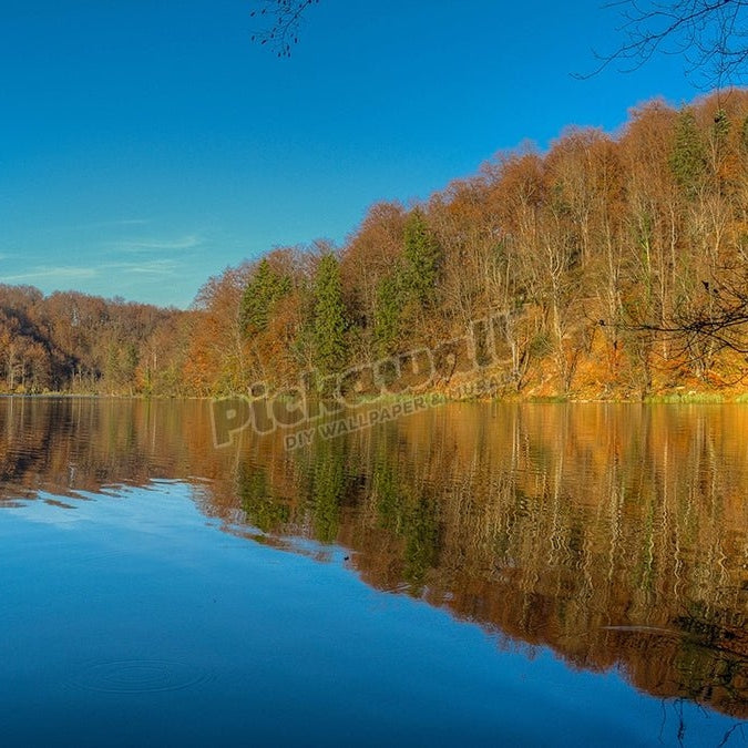 Pond at Plitvice Lakes - Pickawall