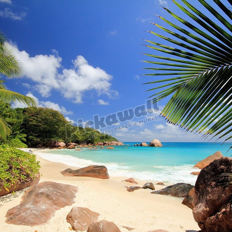Praslin Island, Seychelles - Pickawall