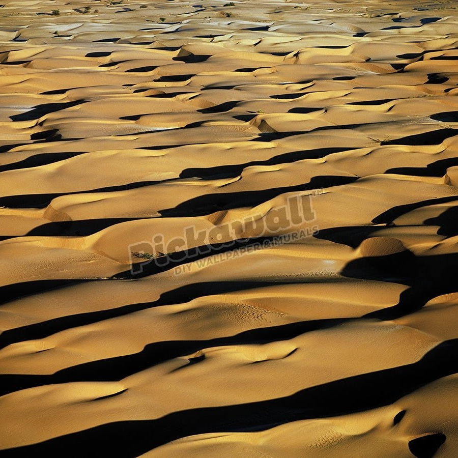 Sand dunes in the Sahara Desert - Pickawall