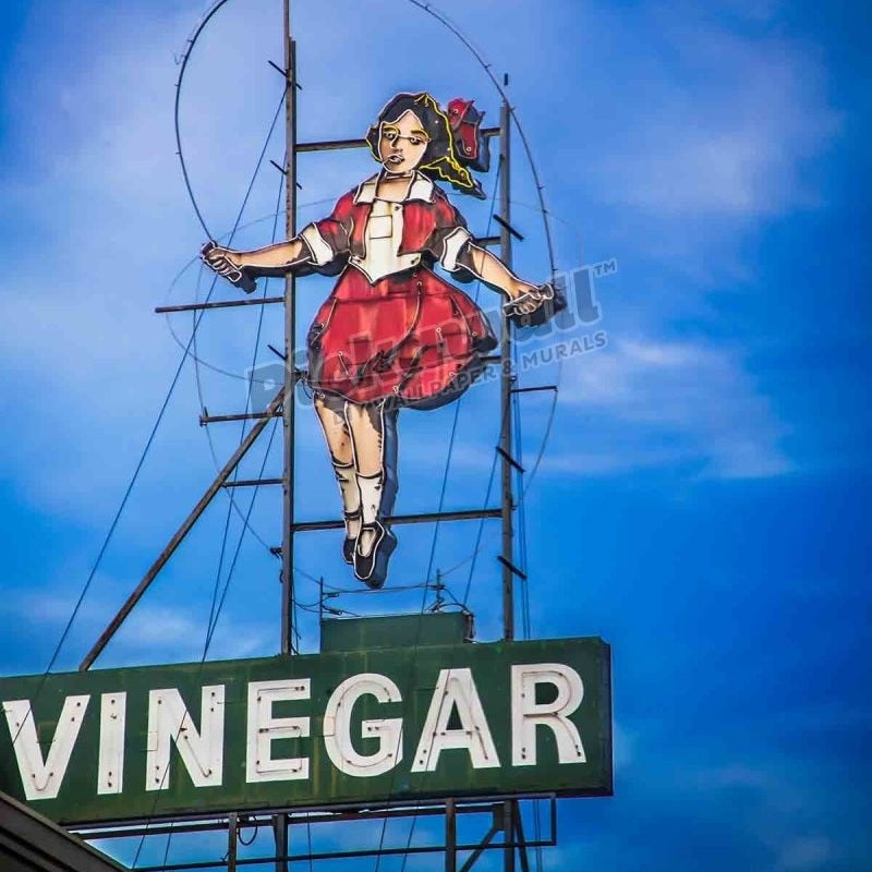 Skipping Girl Vinegar - Pickawall