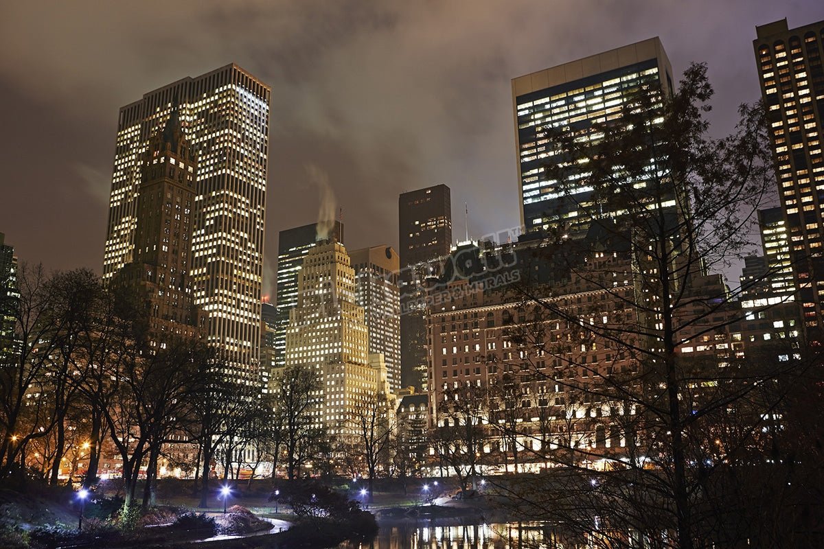 Skyscrapers in Midtown Manhattan from Central Park at night. - Pickawall