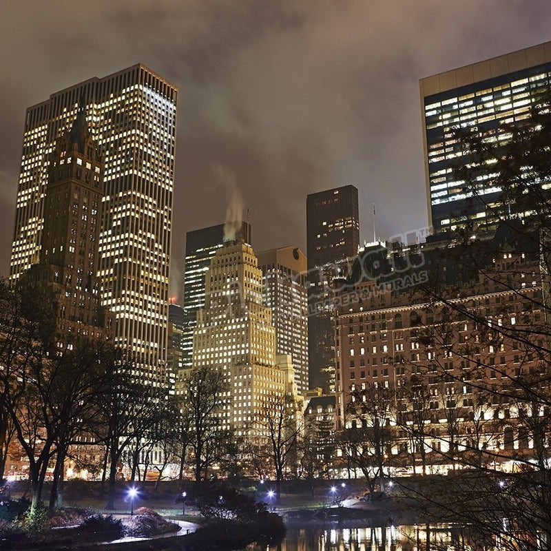 Skyscrapers in Midtown Manhattan from Central Park at night. - Pickawall