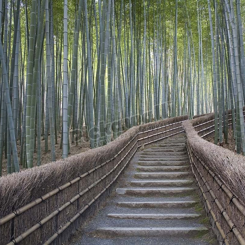 Stairway through bamboo grove above Adashino Nembutsu-ji temple. - Pickawall