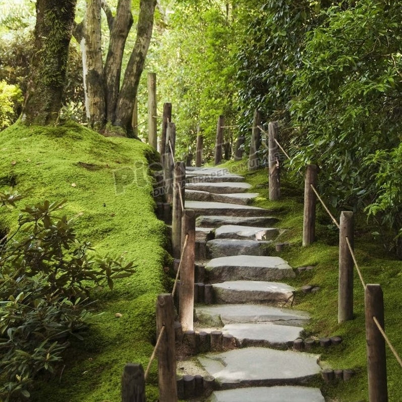 Stone steps leading through Shoyoen garden at Rinno-ji temple. - Pickawall