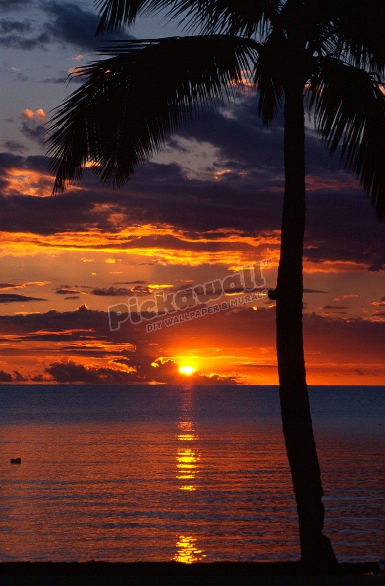 Sunset Denarau Island Fiji - Pickawall