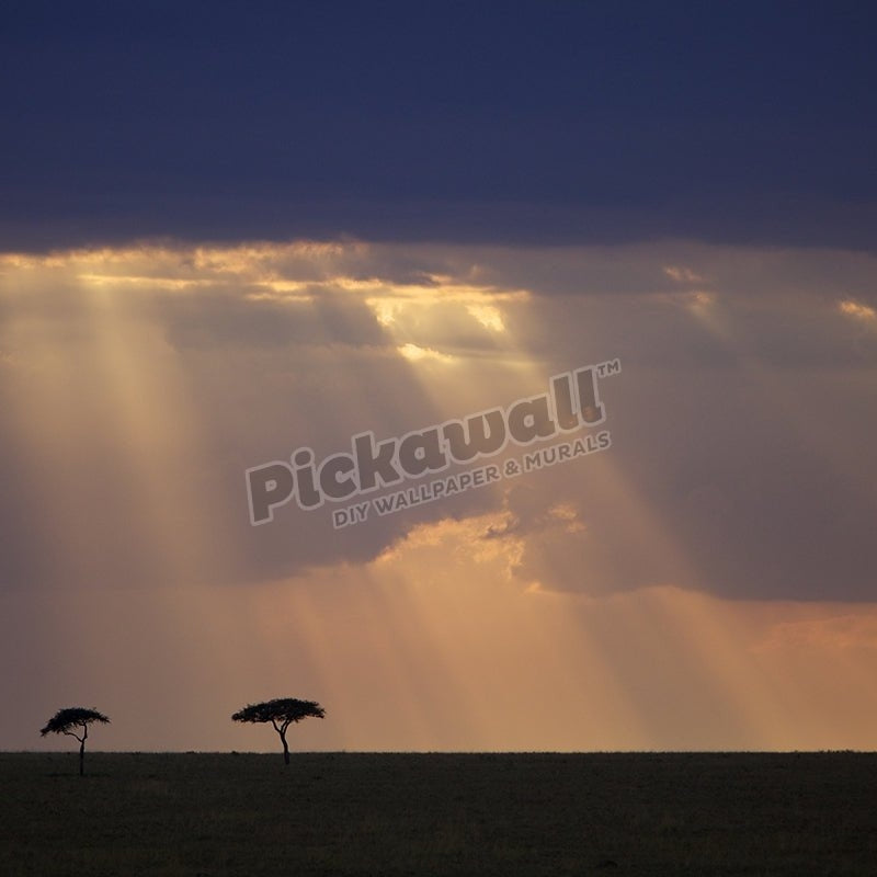 Sunset, Maasai Mara - Pickawall