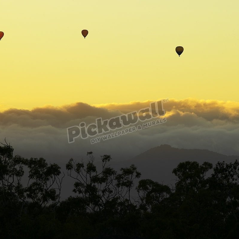 Three hot air balloons flying over rainforest. - Pickawall