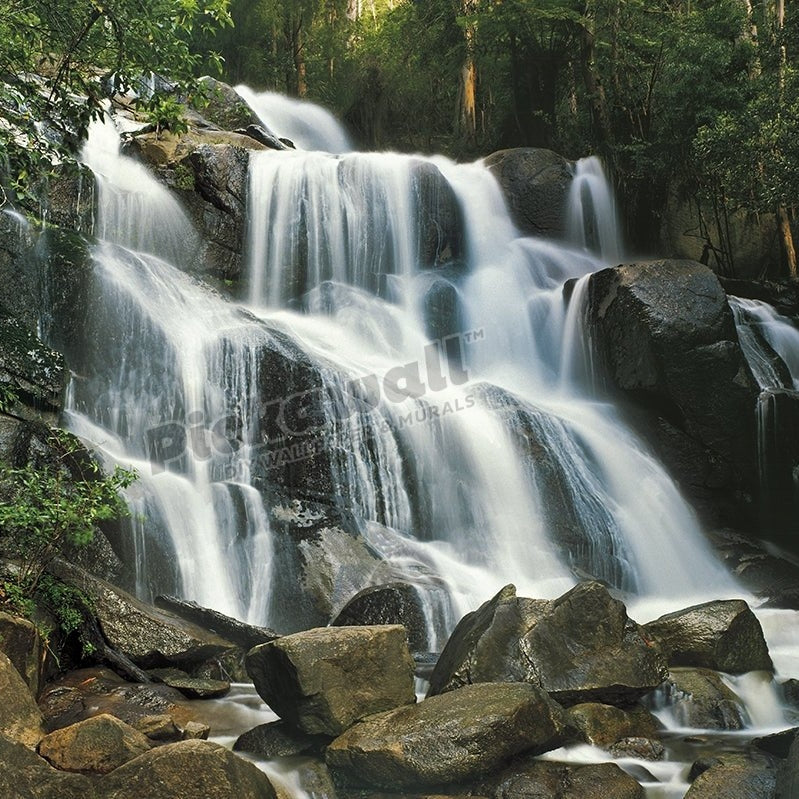 Toorongo Falls in West Gippsland, Victoria, Australia - Pickawall