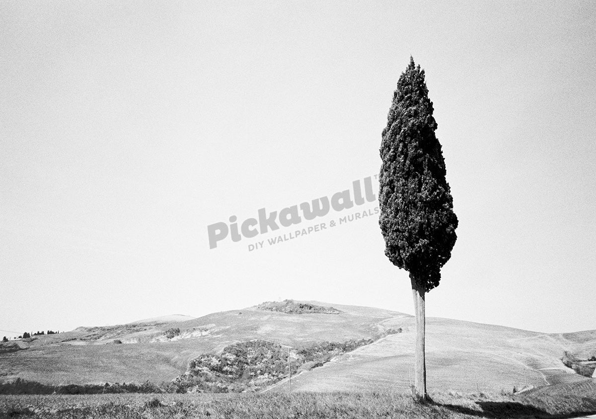 Tuscany Italy black & white - Pickawall
