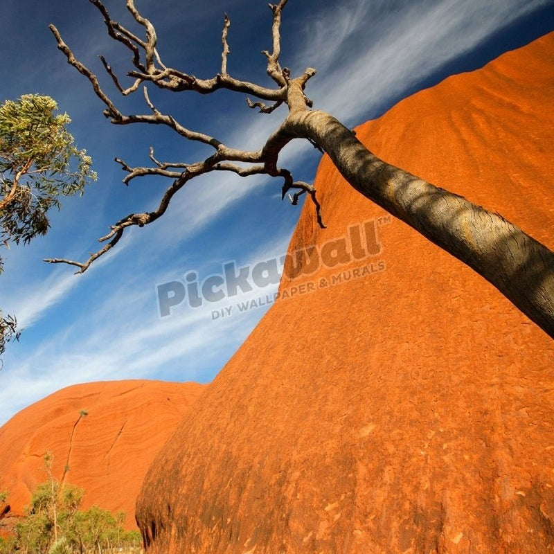 Uluru / Ayer's Rock - Pickawall