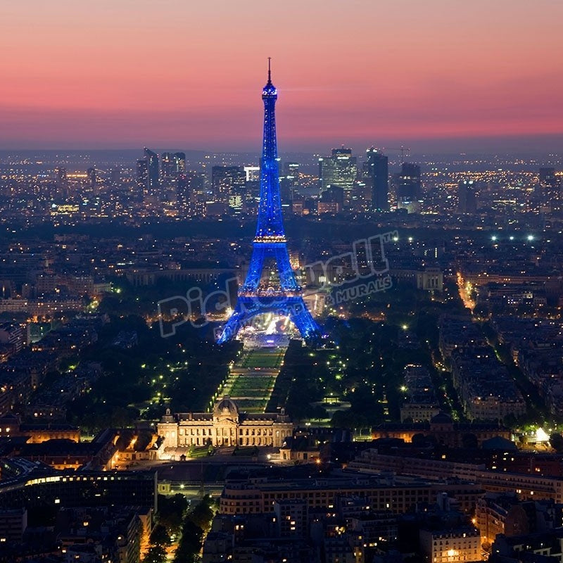 View over Eiffel Tower Paris France - Pickawall