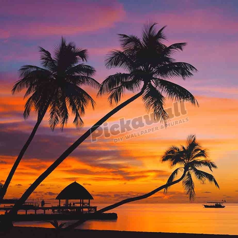 Water - Palm trees, ocean sunset - Pickawall
