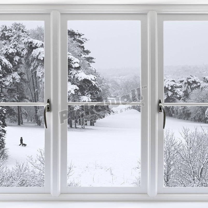 Window wih a view - Pickawall