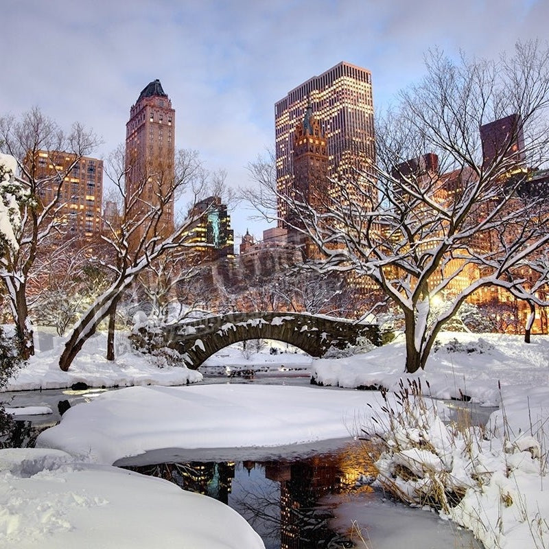 Winter in New York City' - Pickawall
