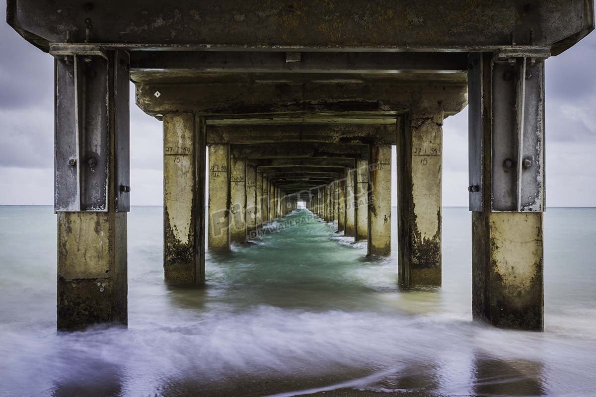 Local Photographers - Pickawall