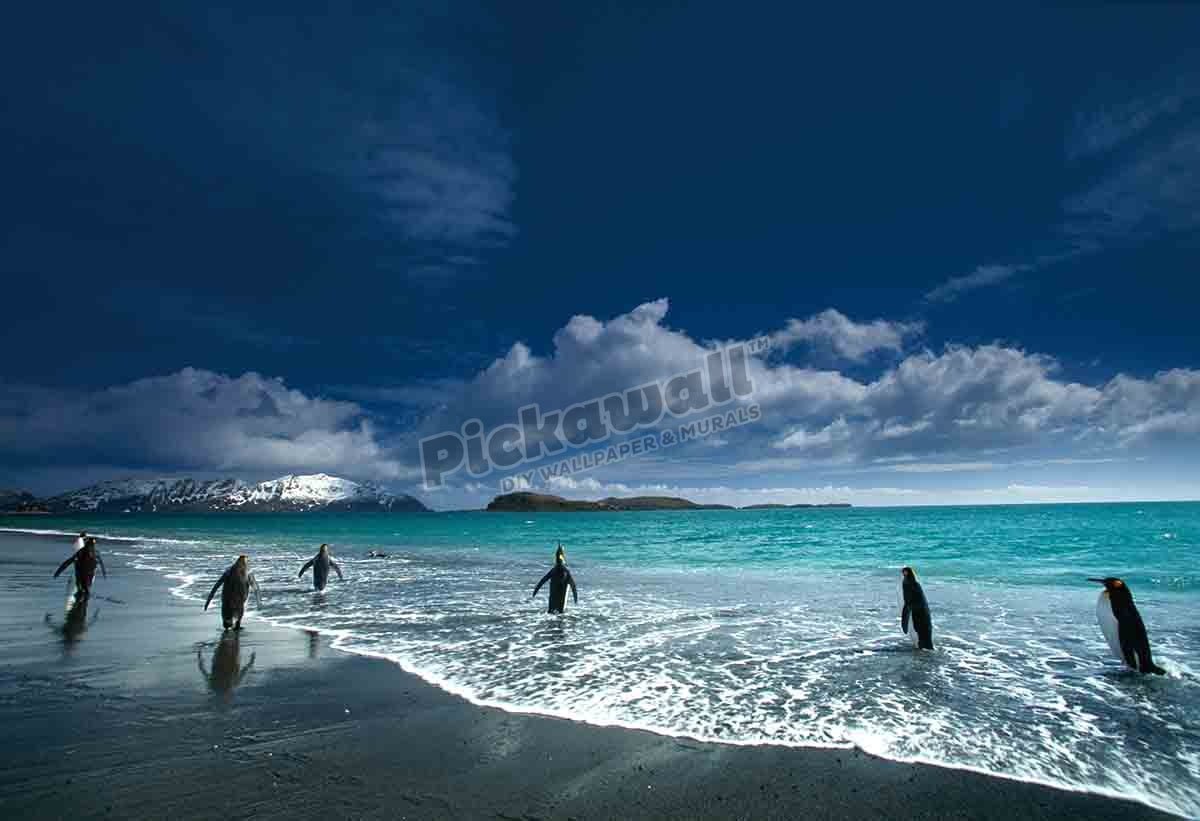 Marine - Pickawall