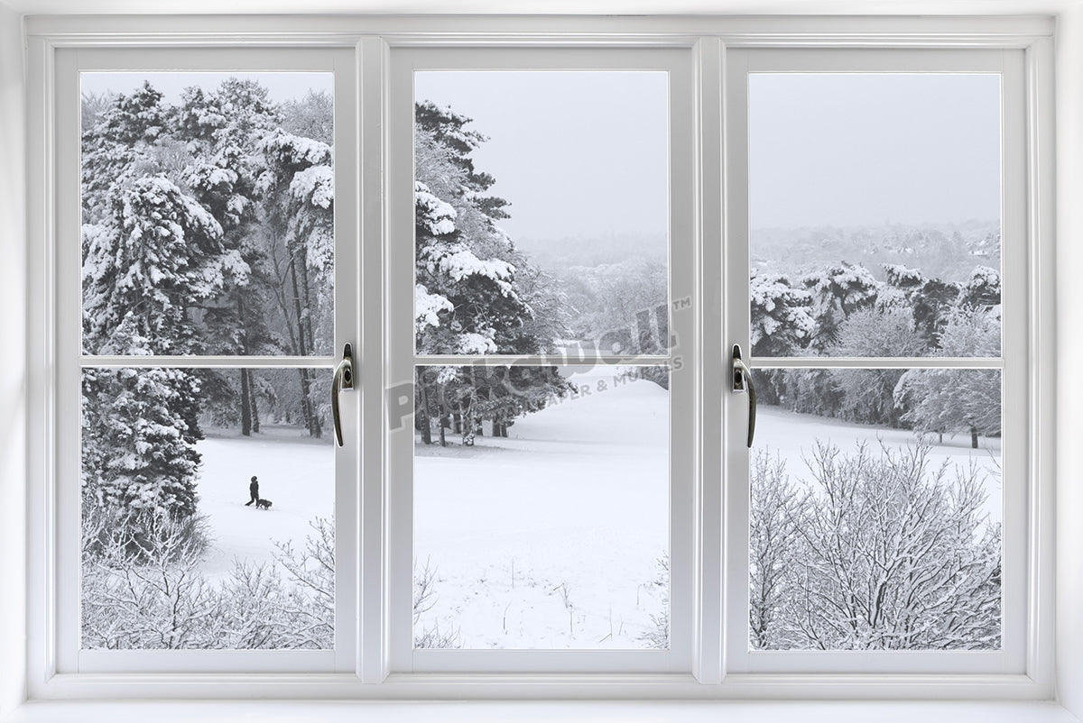 Window wih a view
