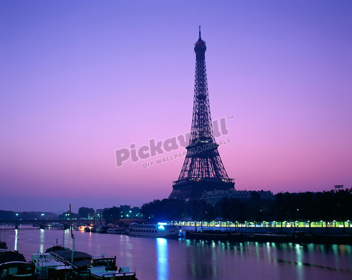 Eiffel Tower & The Seine River