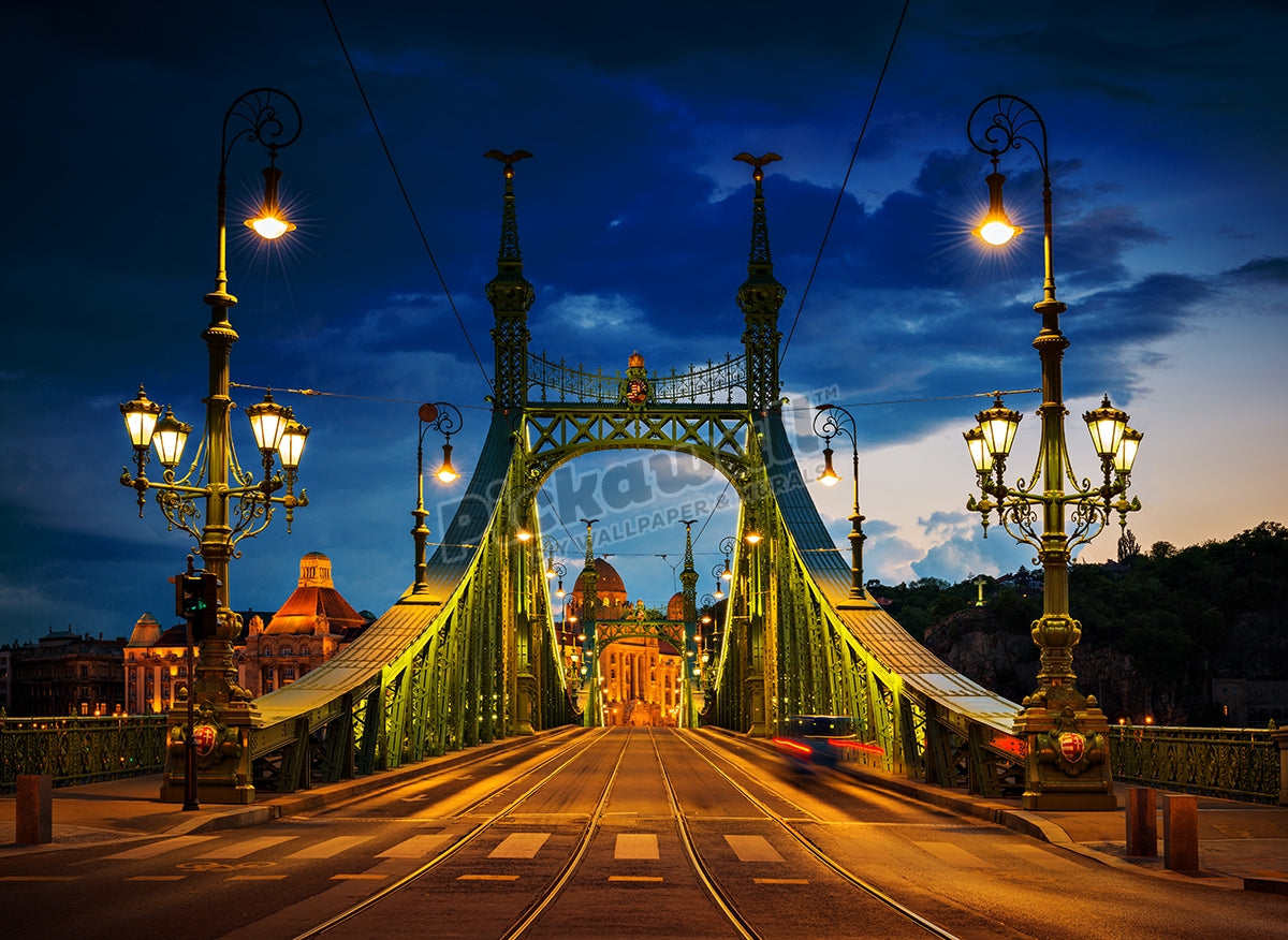 Liberty bridge, Budapest