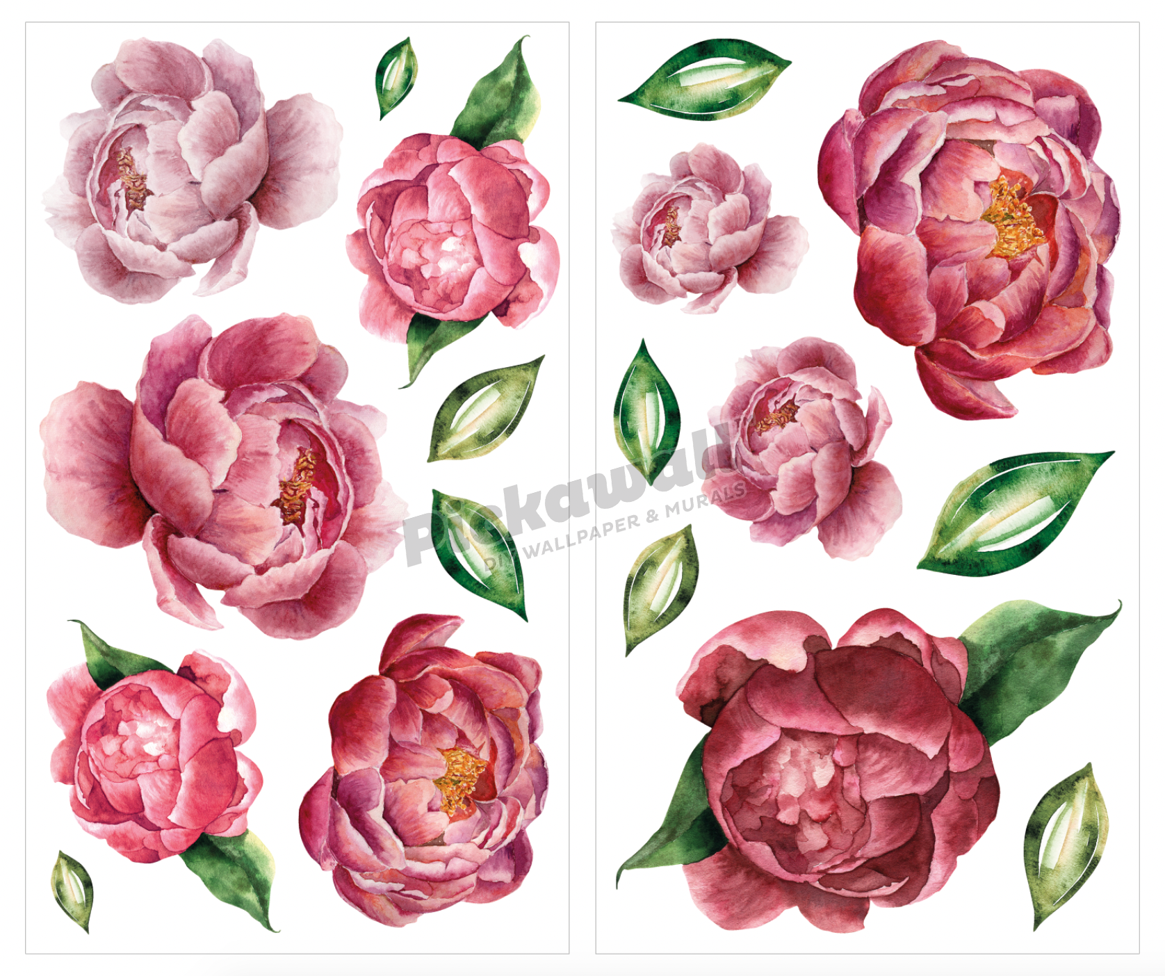 Peonies Decal Set - 17 peonies image