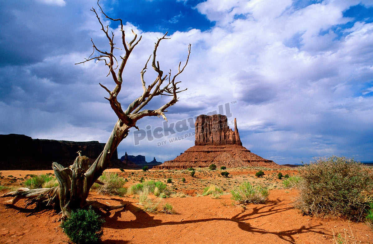 Monument Valley Day