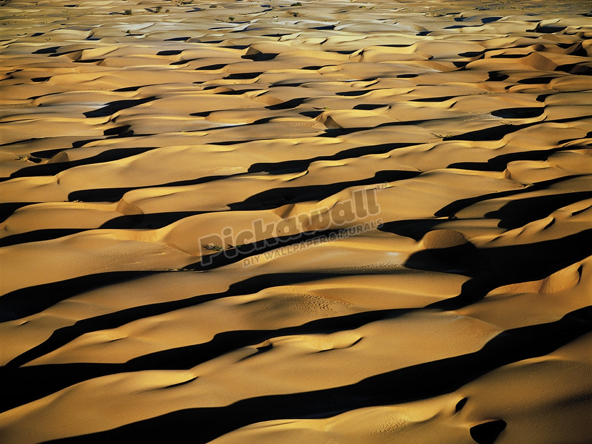 Sand dunes in the Sahara Desert